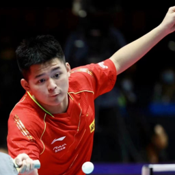 的综合表现 的综合表现